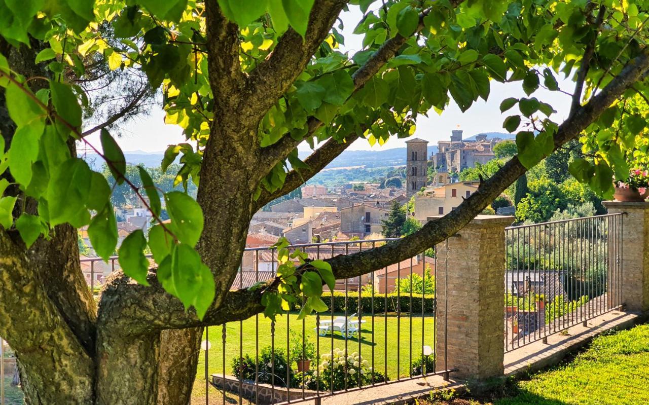 Agriturismo Le Vigne Bolsena Kültér fotó